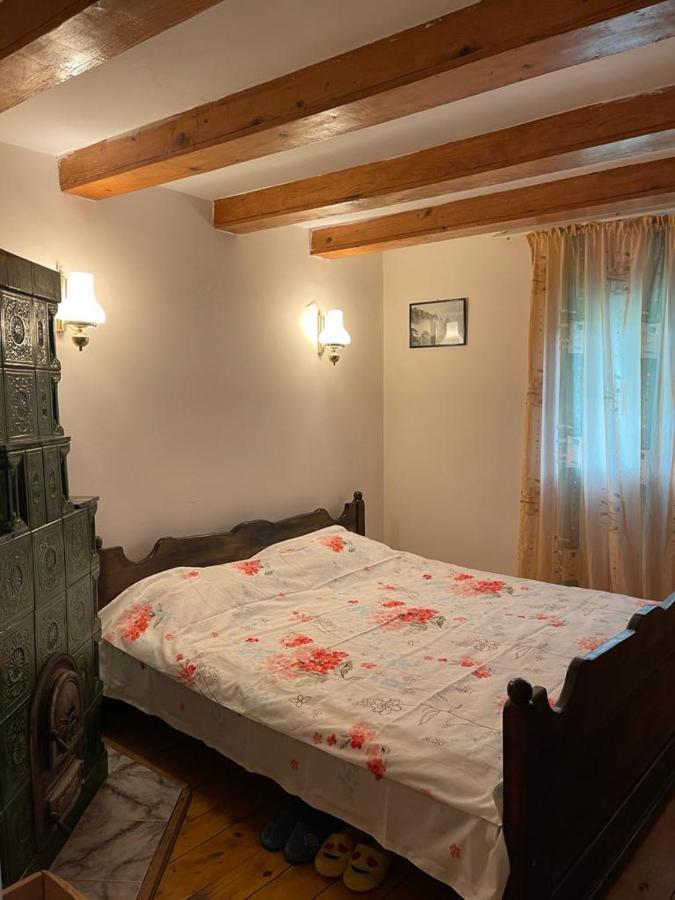 Casa Adelina Βίλα Valea Lunga-Cricov Εξωτερικό φωτογραφία
