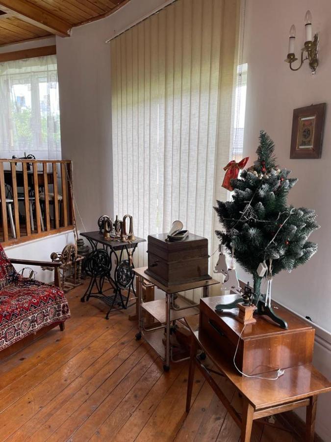 Casa Adelina Βίλα Valea Lunga-Cricov Εξωτερικό φωτογραφία