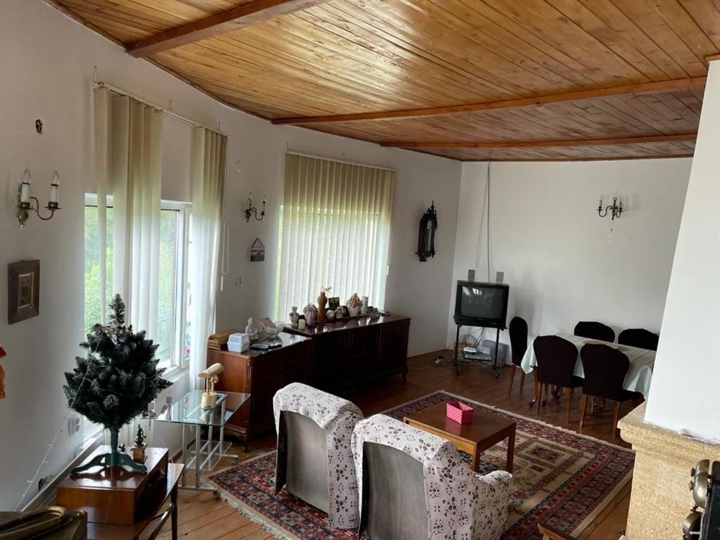 Casa Adelina Βίλα Valea Lunga-Cricov Εξωτερικό φωτογραφία