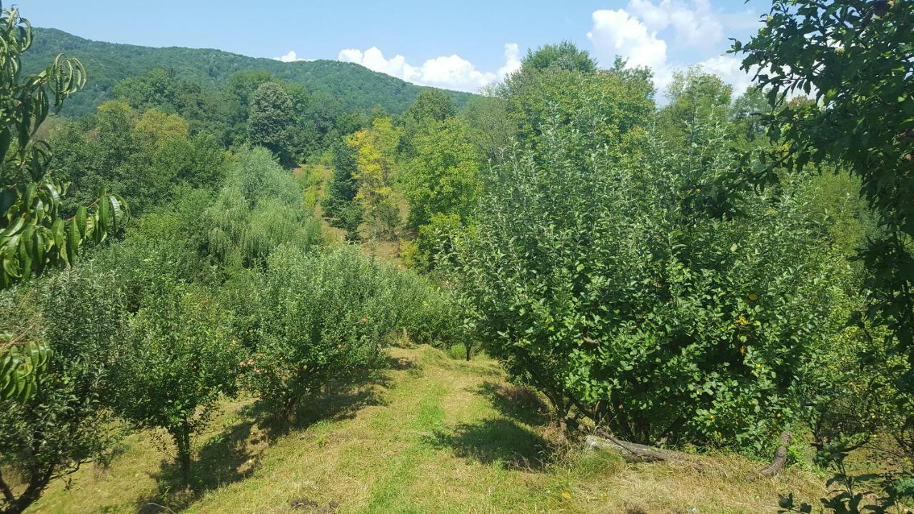 Casa Adelina Βίλα Valea Lunga-Cricov Εξωτερικό φωτογραφία